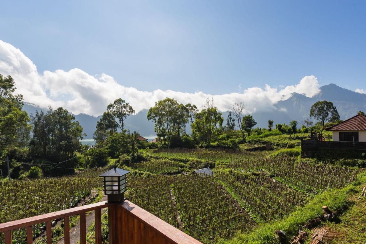 Mount Batur Villa Kintamani Kültér fotó